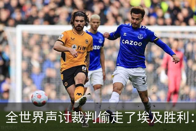 全世界声讨裁判偷走了埃及胜利：阿根廷名宿承认萨拉赫点球被无视