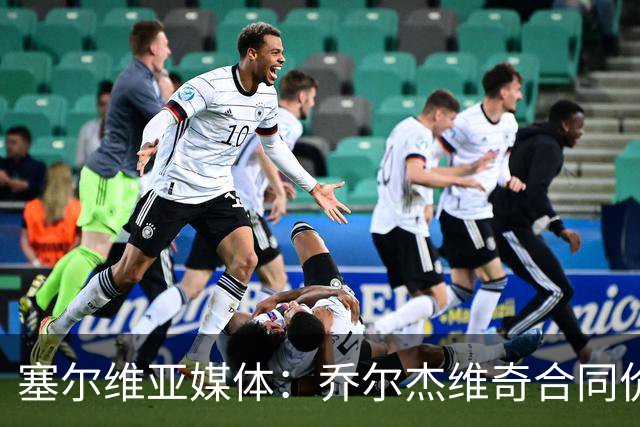 塞尔维亚媒体：乔尔杰维奇合同价值100万美元