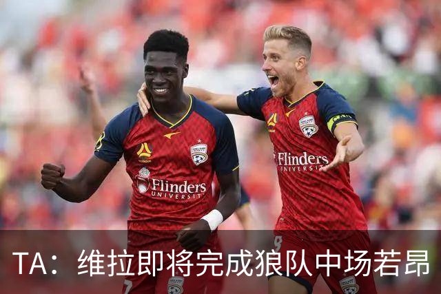 TA：维拉即将完成狼队中场若昂·戈麦斯的转会，费用约3500万英镑